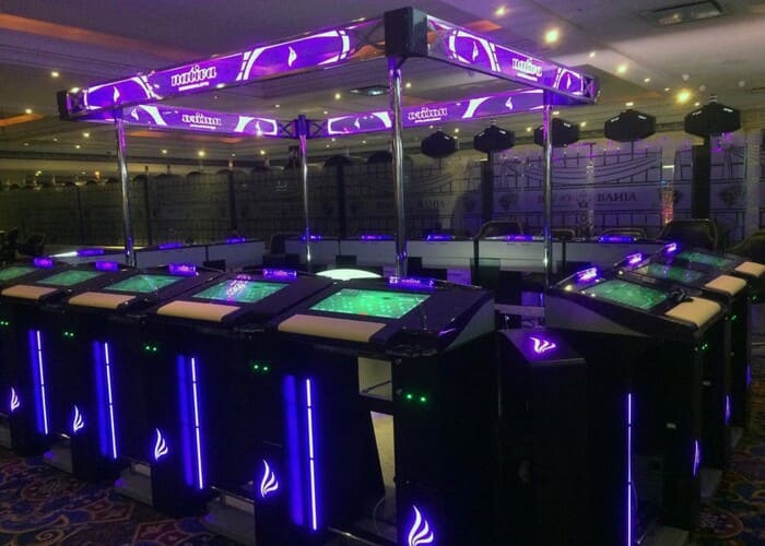 Dayco Roulette Nativa III - Vista 12 puestos